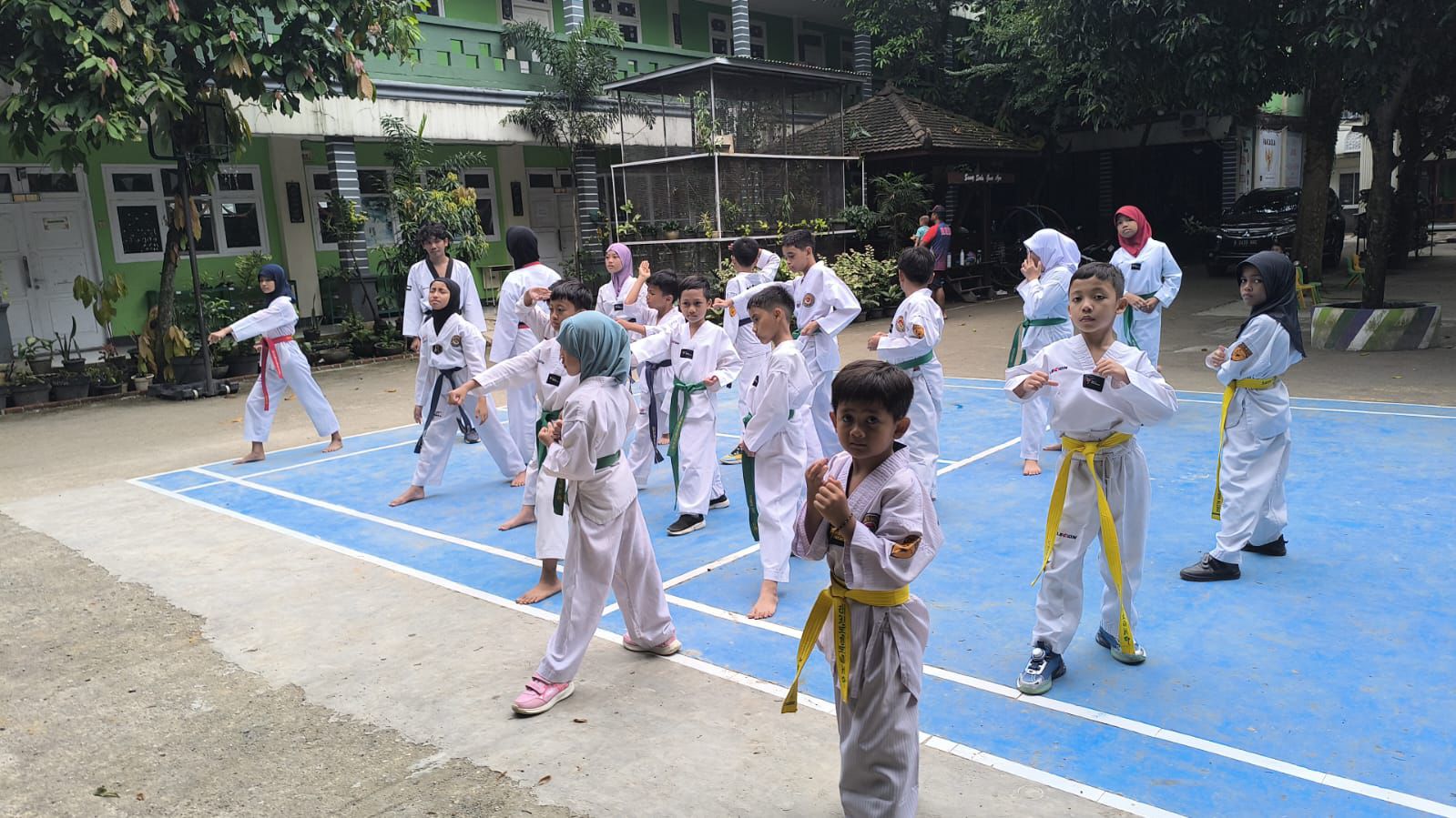 Taekwondo